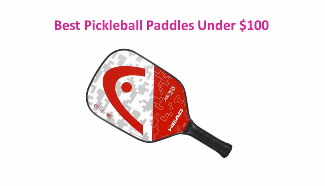 Best Pickleball Paddles Under $100